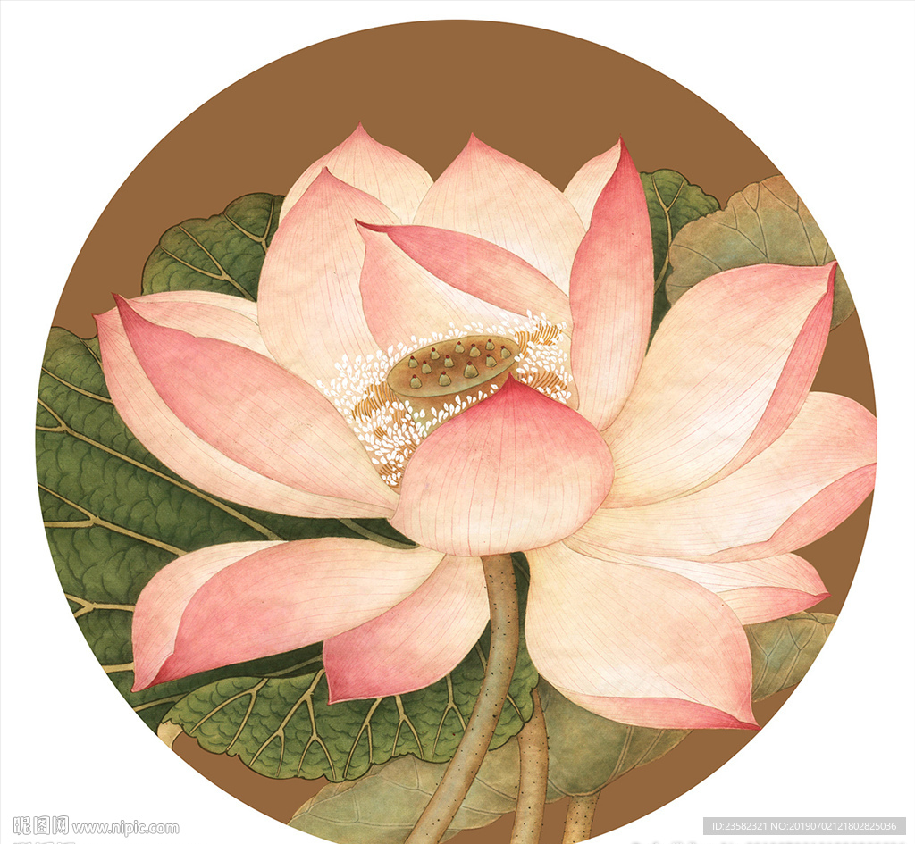 國(guó)畫荷花