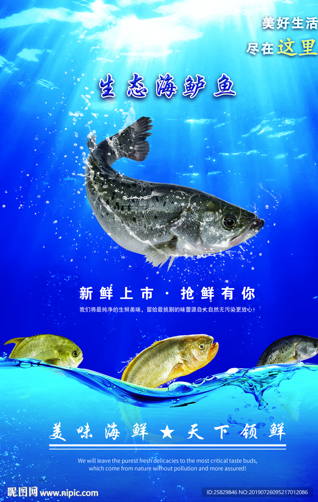 生態(tài)海鱸魚(yú)