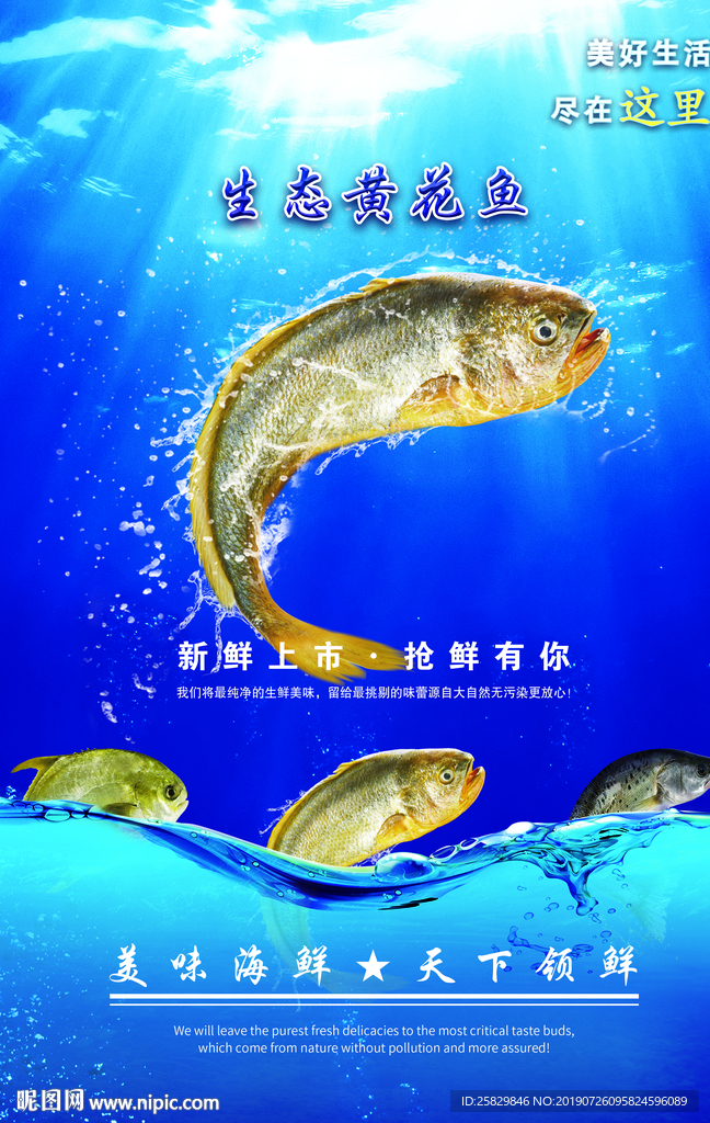 生態(tài)黃花魚
