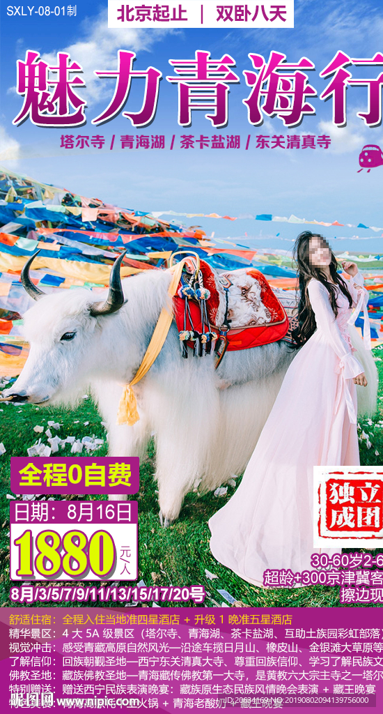 魅力青海行