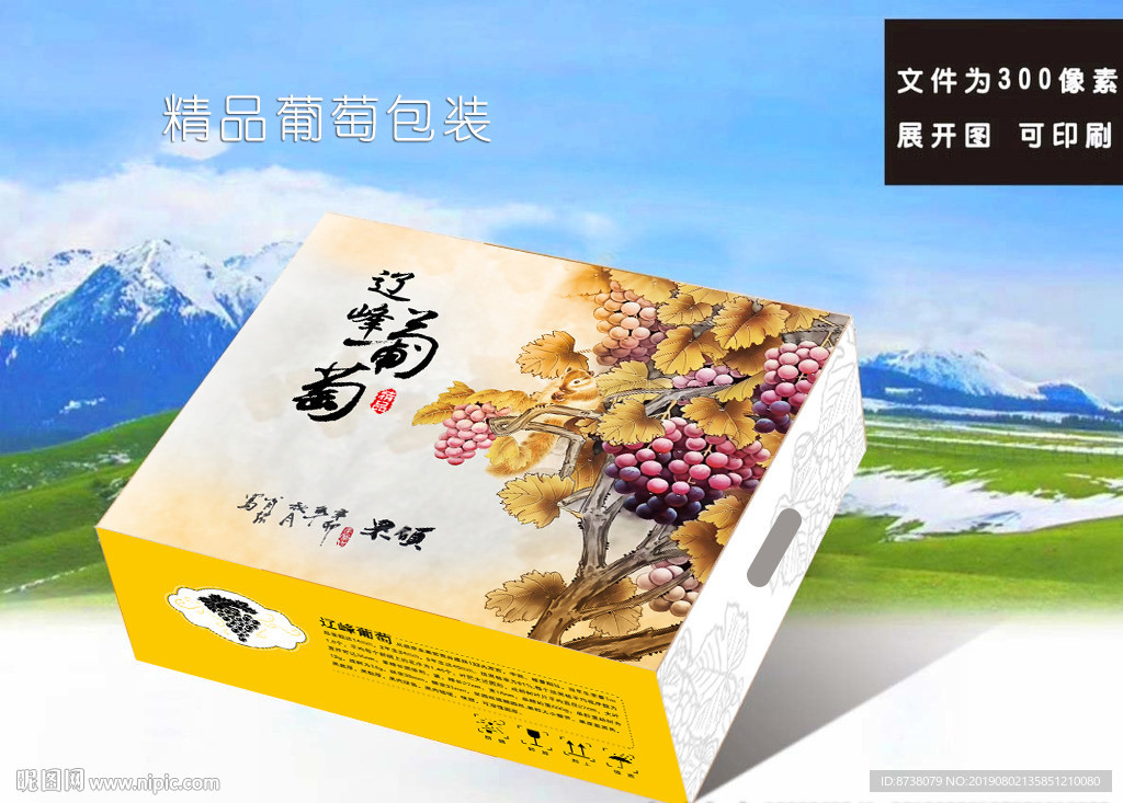 遼峰葡萄包裝