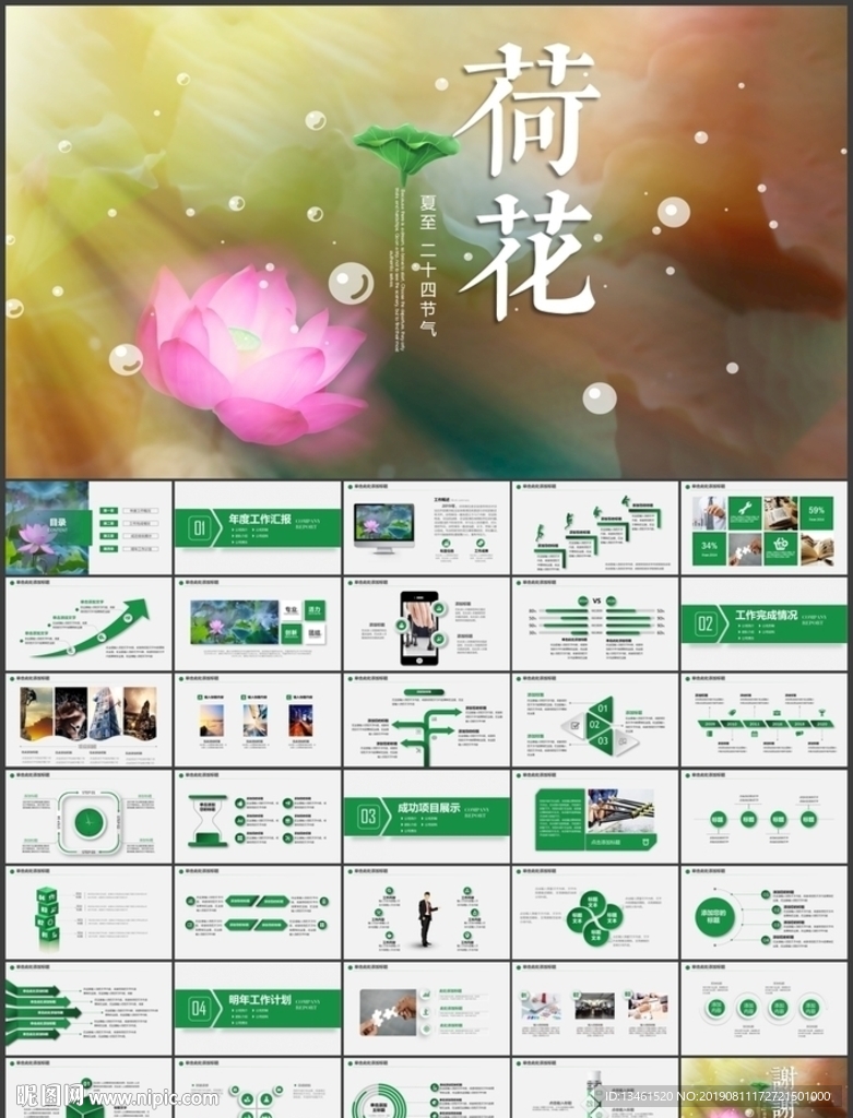 荷花PPT