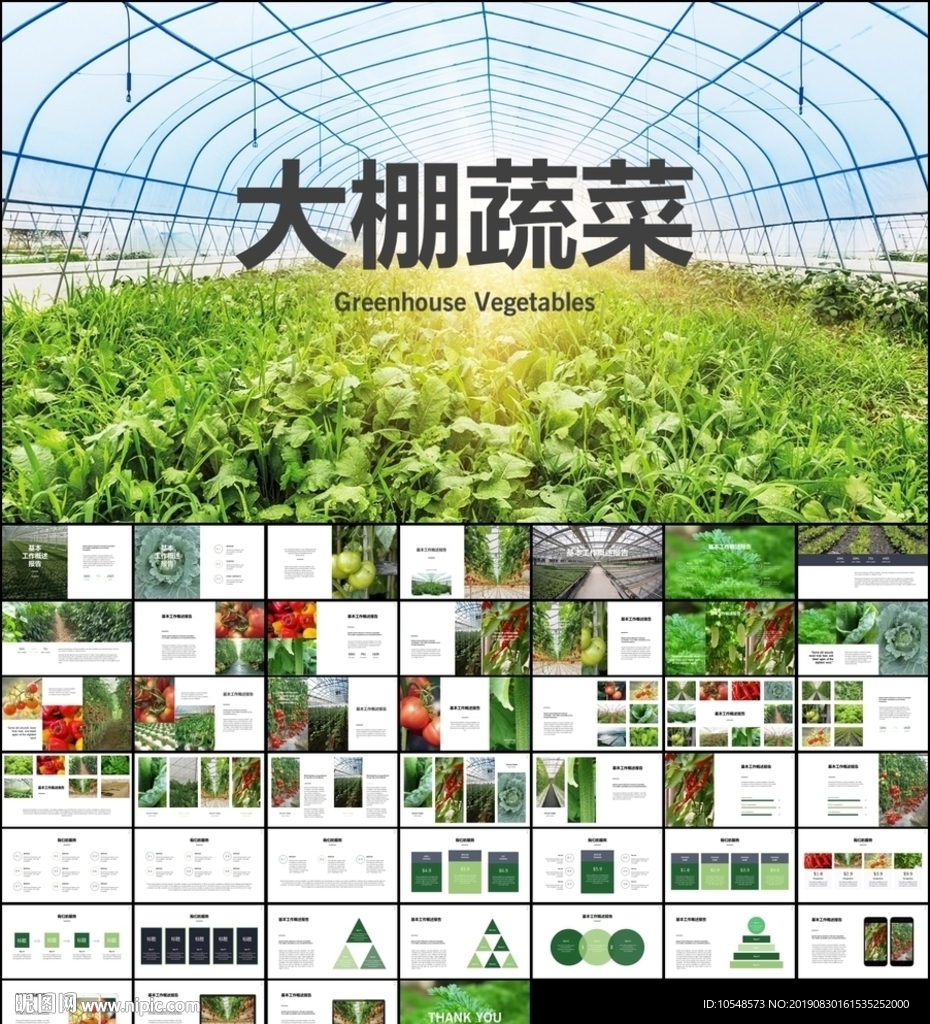 綠色生態(tài)有機(jī)蔬菜大棚蔬菜種植