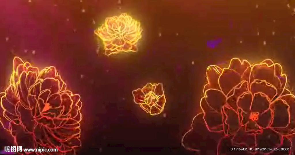 紅花視頻背景