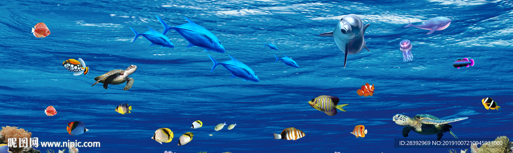 海洋生物