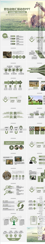 愛護動物動物世界保護野生動物