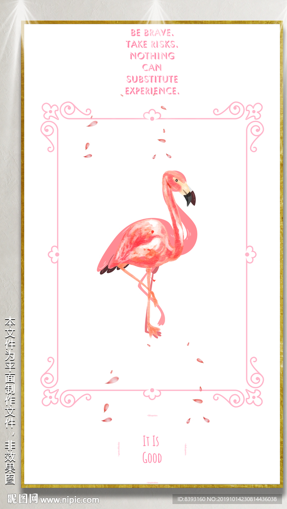 火烈鳥插圖