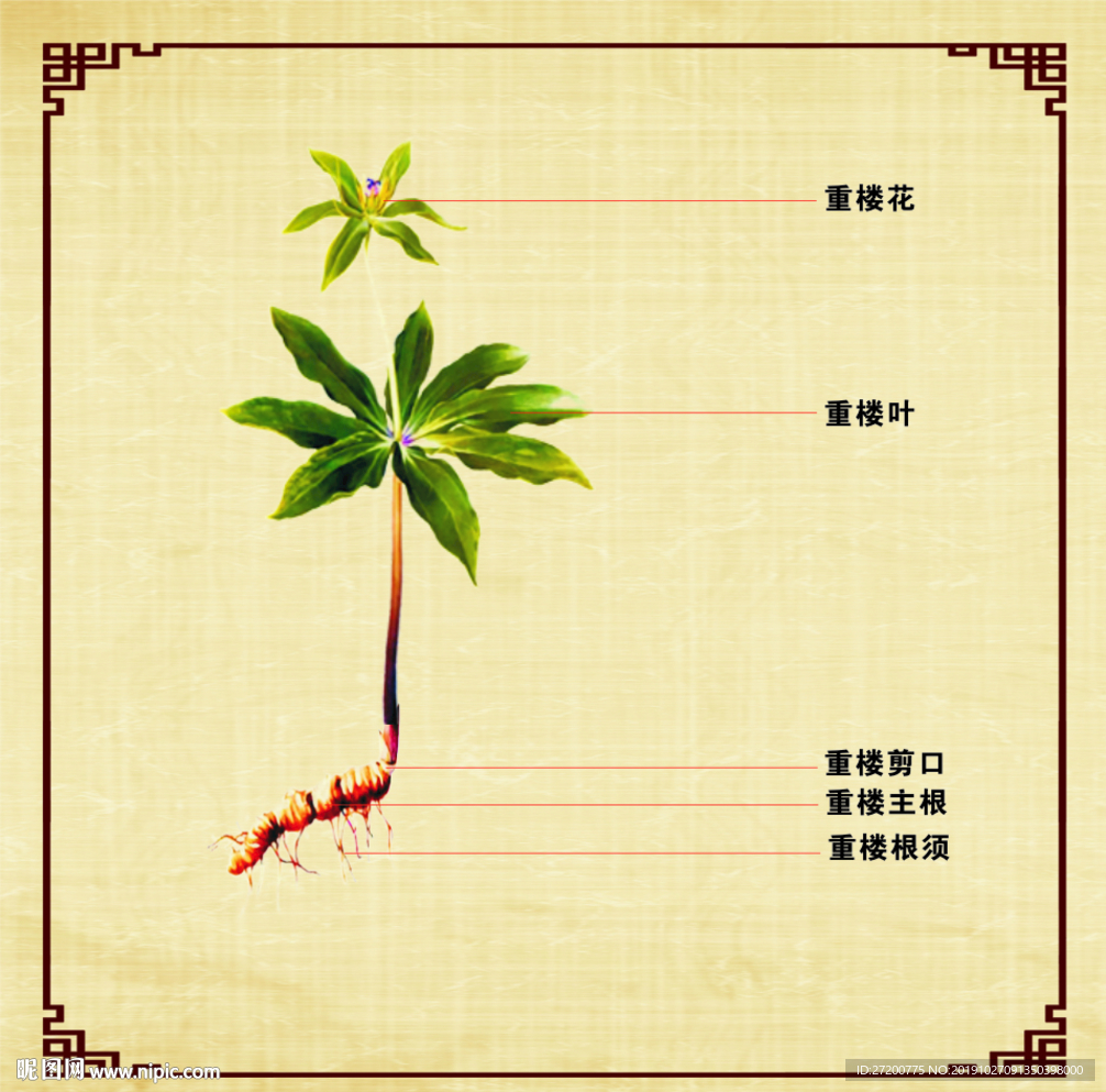 重樓簡介