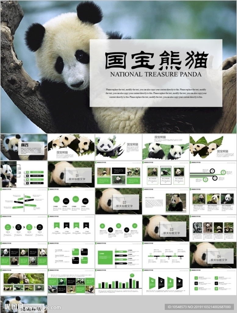 保護(hù)動(dòng)物吃竹子國(guó)寶熊貓野生動(dòng)物