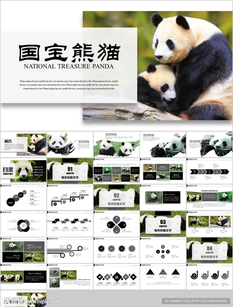 保護動物吃竹子國寶熊貓野生動物