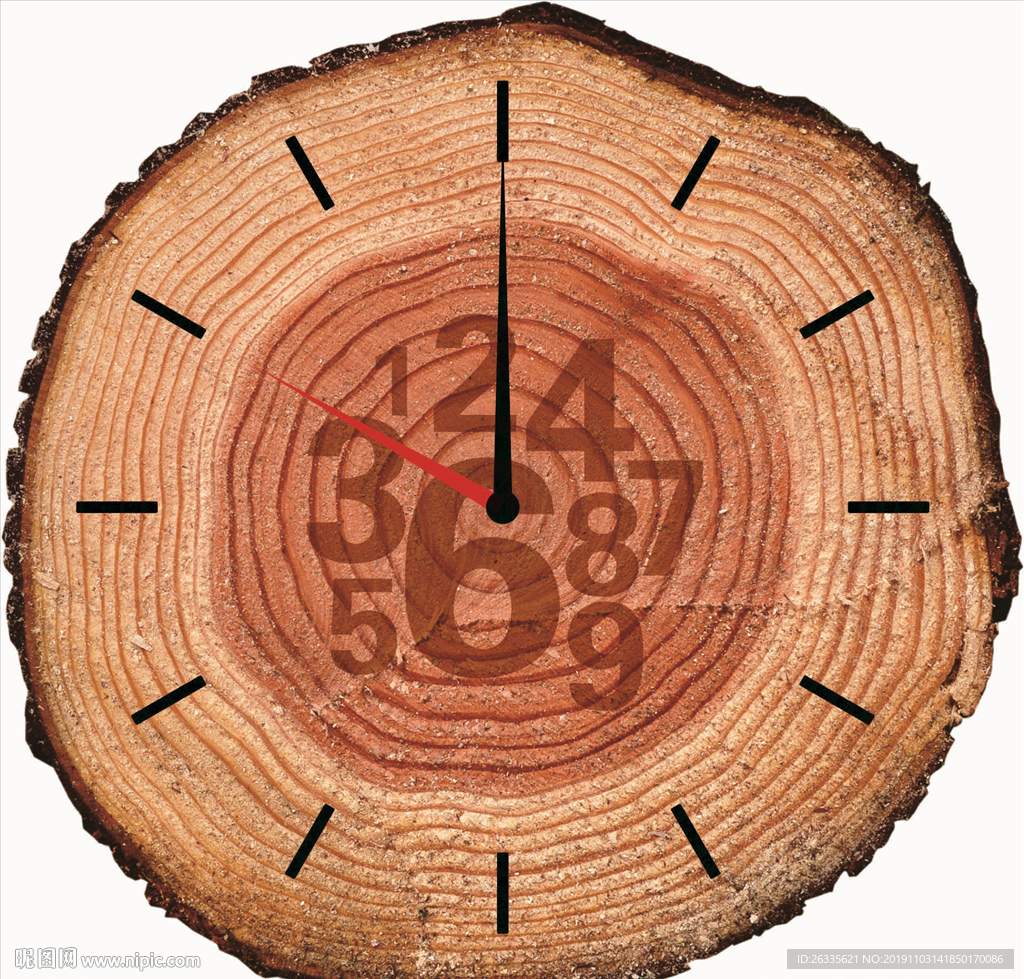 年轮 树木 木头 时钟 表