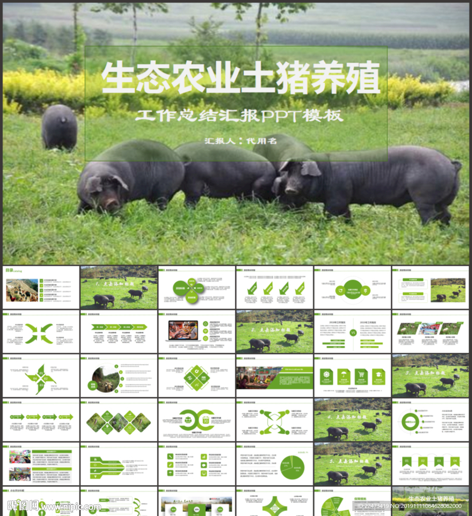 養(yǎng)豬養(yǎng)殖場畜牧PPT