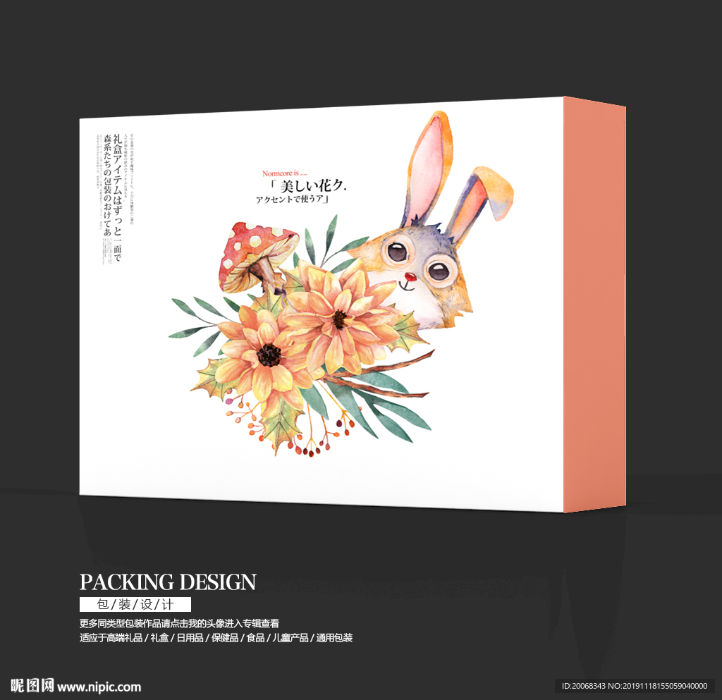 儿童食品兔子卡通包装礼盒设计