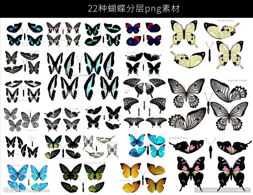 多種蝴蝶png分層素材