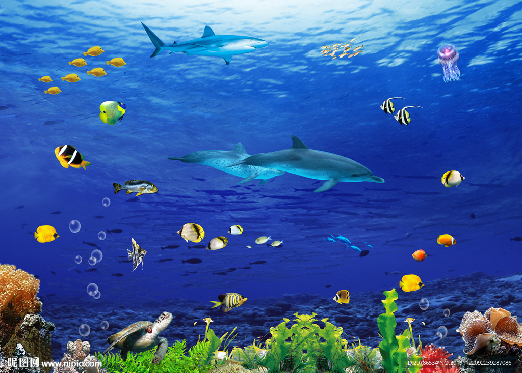 海底世界