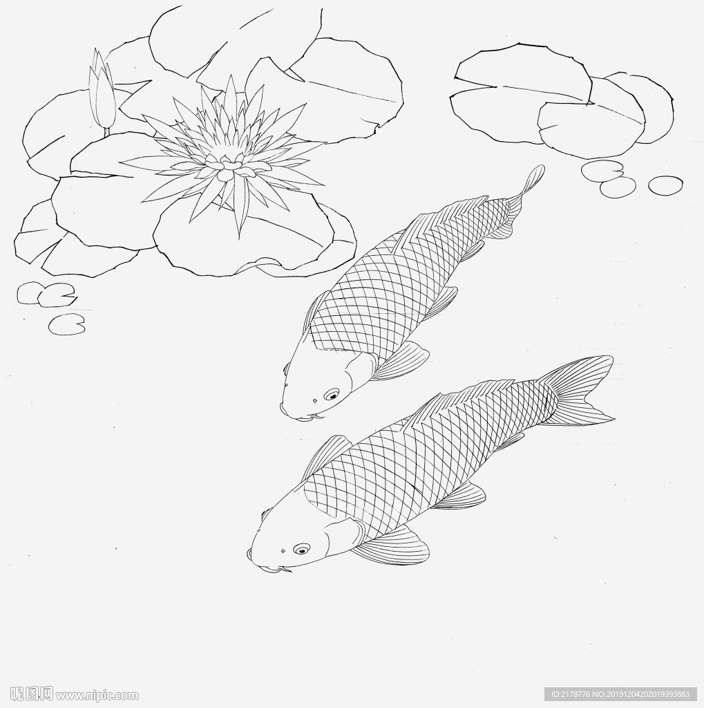 睡蓮錦鯉底稿