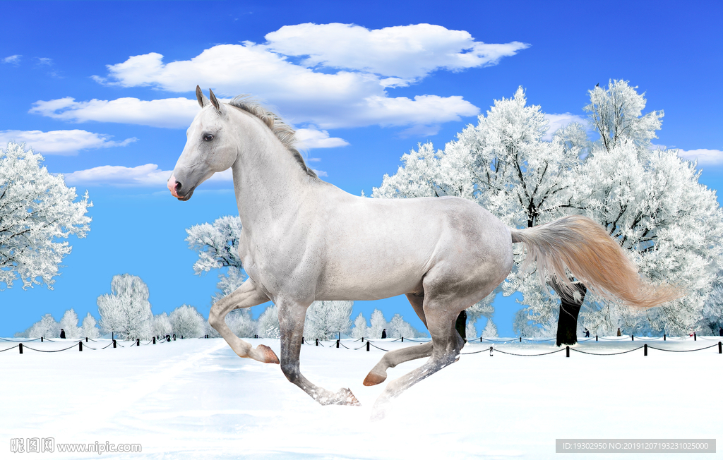 雪地下奔跑的白马