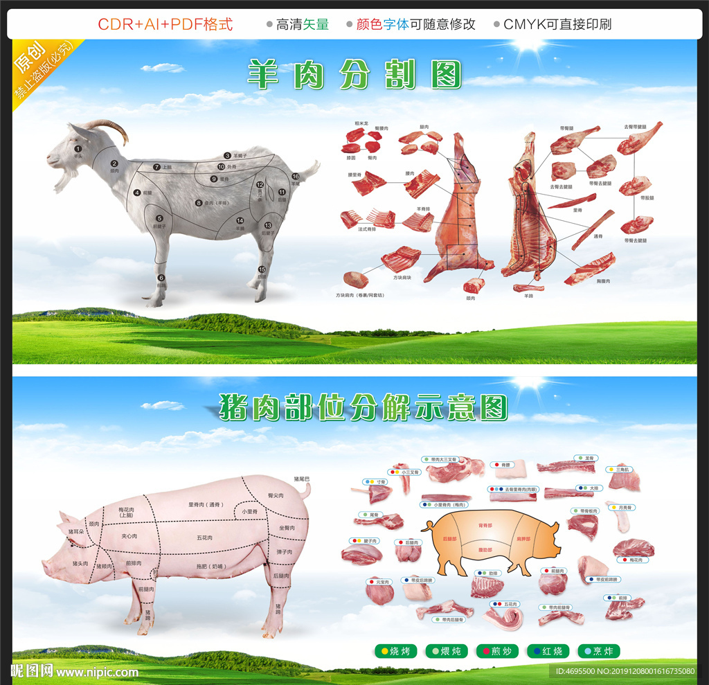 猪肉羊肉分解分割部位高清图