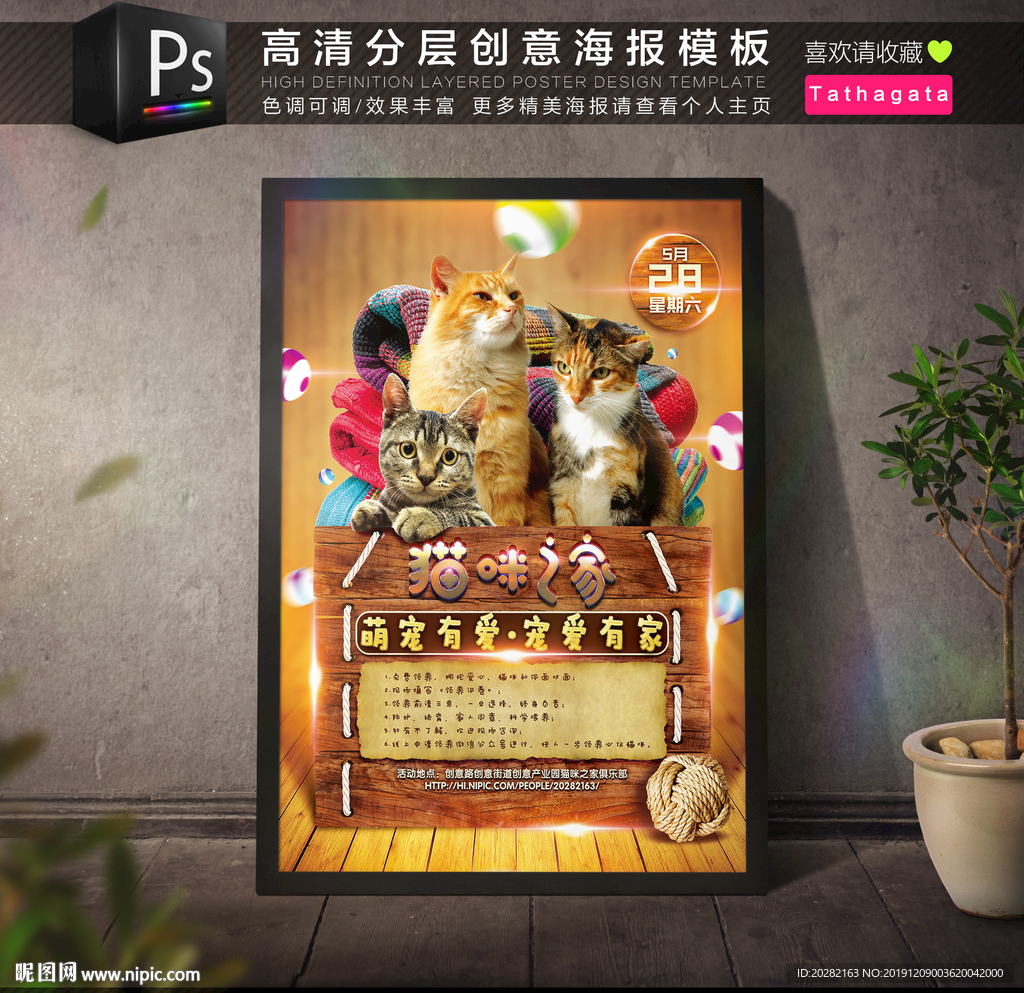 宠物店猫协会收容机构海报