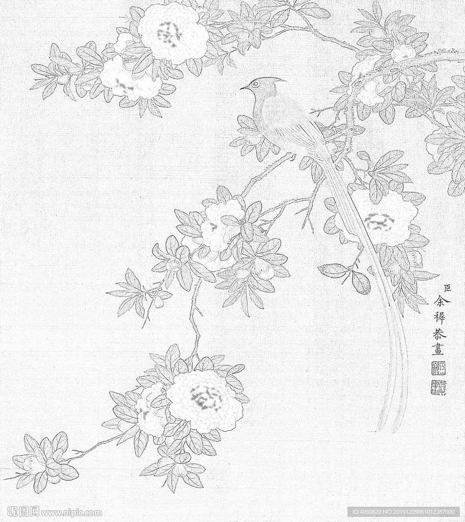 余稚的花鳥圖白描工筆畫