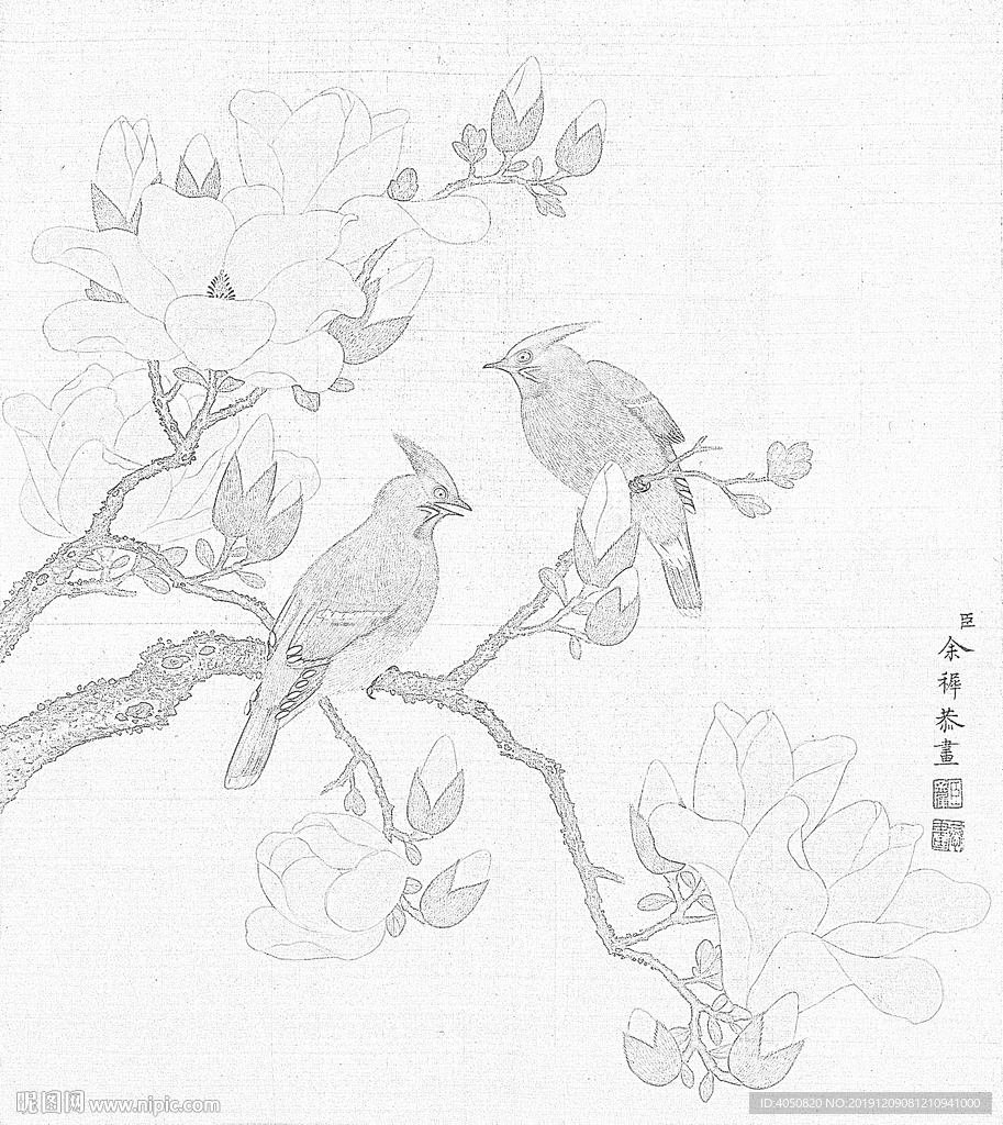 余稚花鳥圖冊白描底稿工筆畫玉蘭