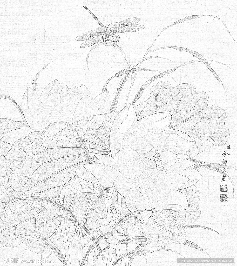 余稚花鳥圖冊白描底稿工筆畫荷花