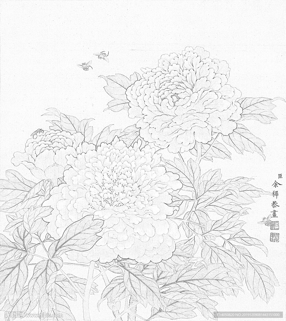 余稚花鳥圖冊白描底稿牡丹