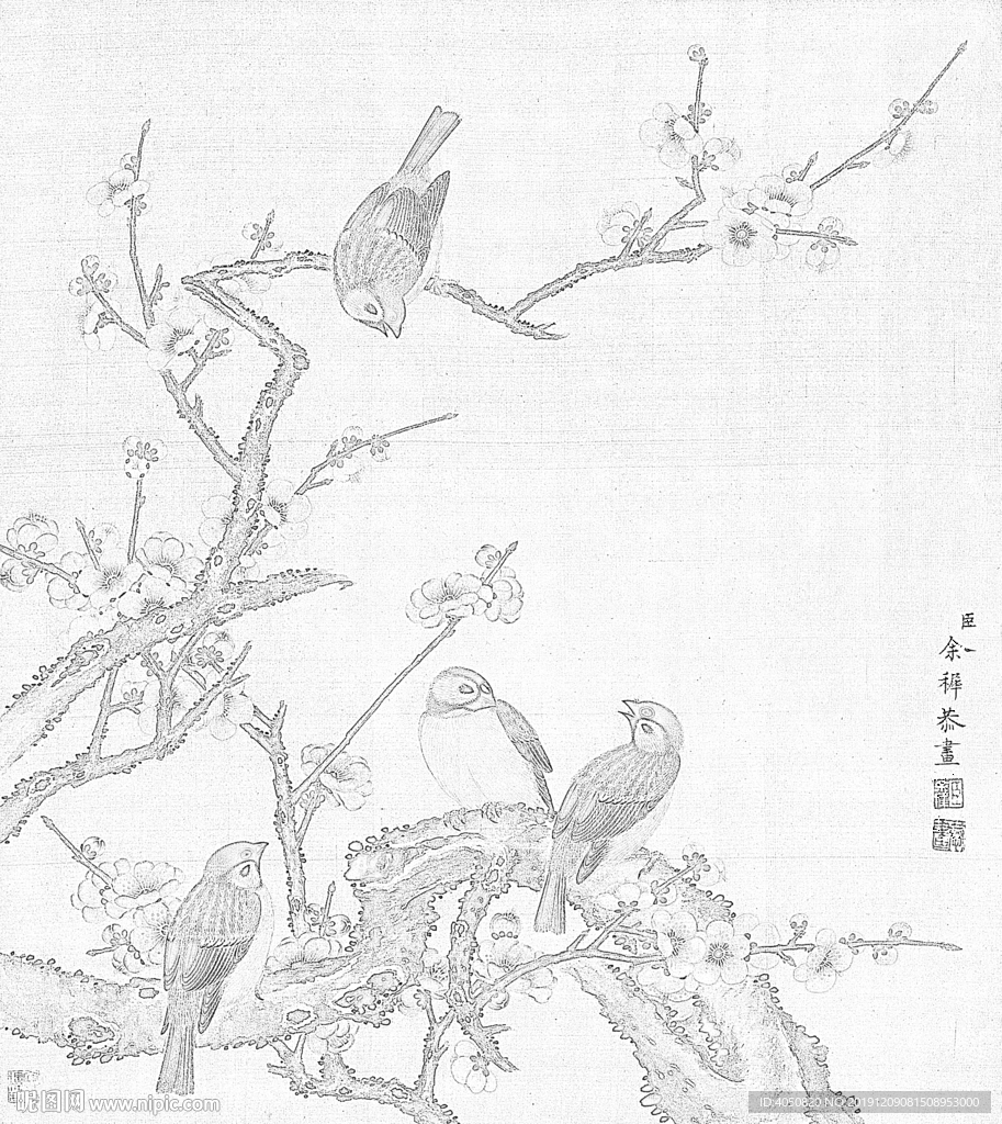 余稚花鳥圖冊(cè)白描底稿臘梅