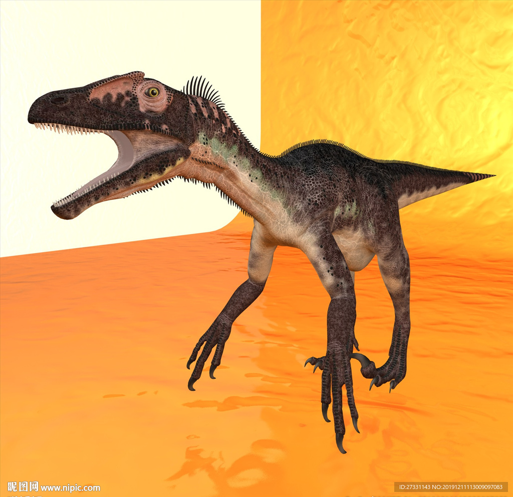 恐龙模型 动物模型 恐龙近景