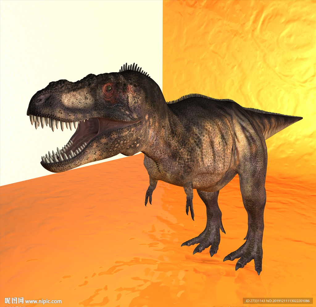 恐龙模型 动物模型 恐龙近景