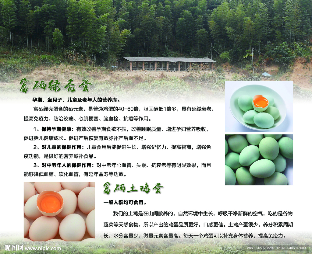 富硒綠殼蛋富硒土雞蛋