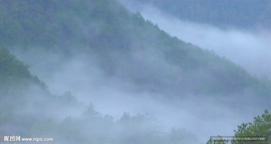 安徽黃山：雨后深山似水墨 云霧