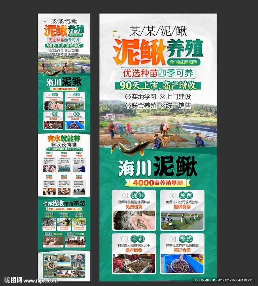 泥鰍養殖