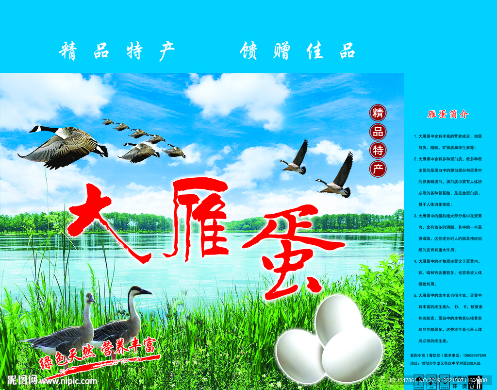 大雁蛋箱
