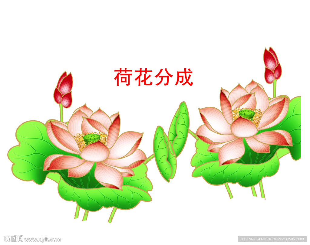 荷花