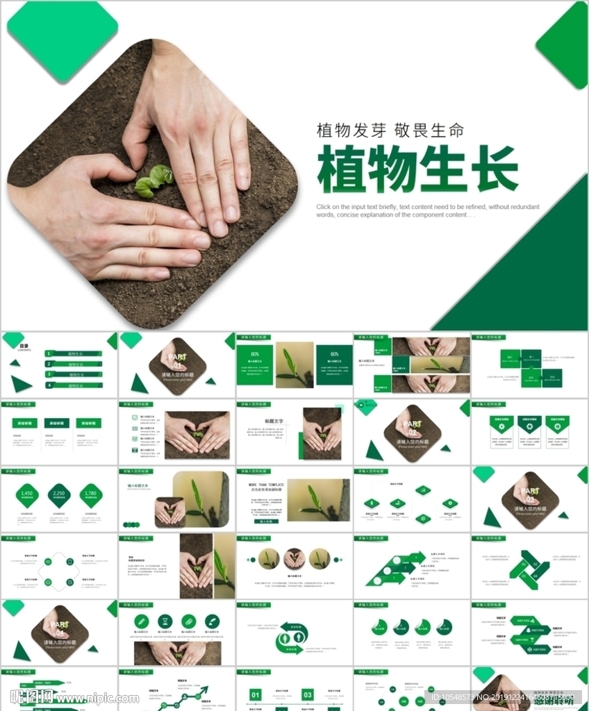 唯美植物生長敬畏生命發(fā)芽ppt