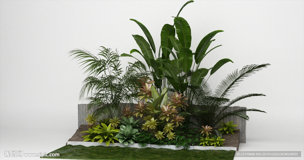 一组观赏装饰植物