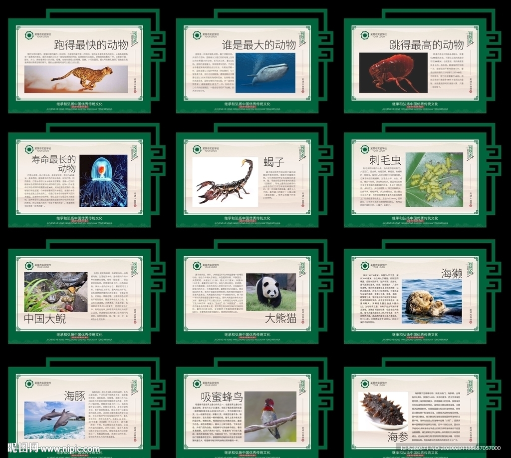 走近大自然展板