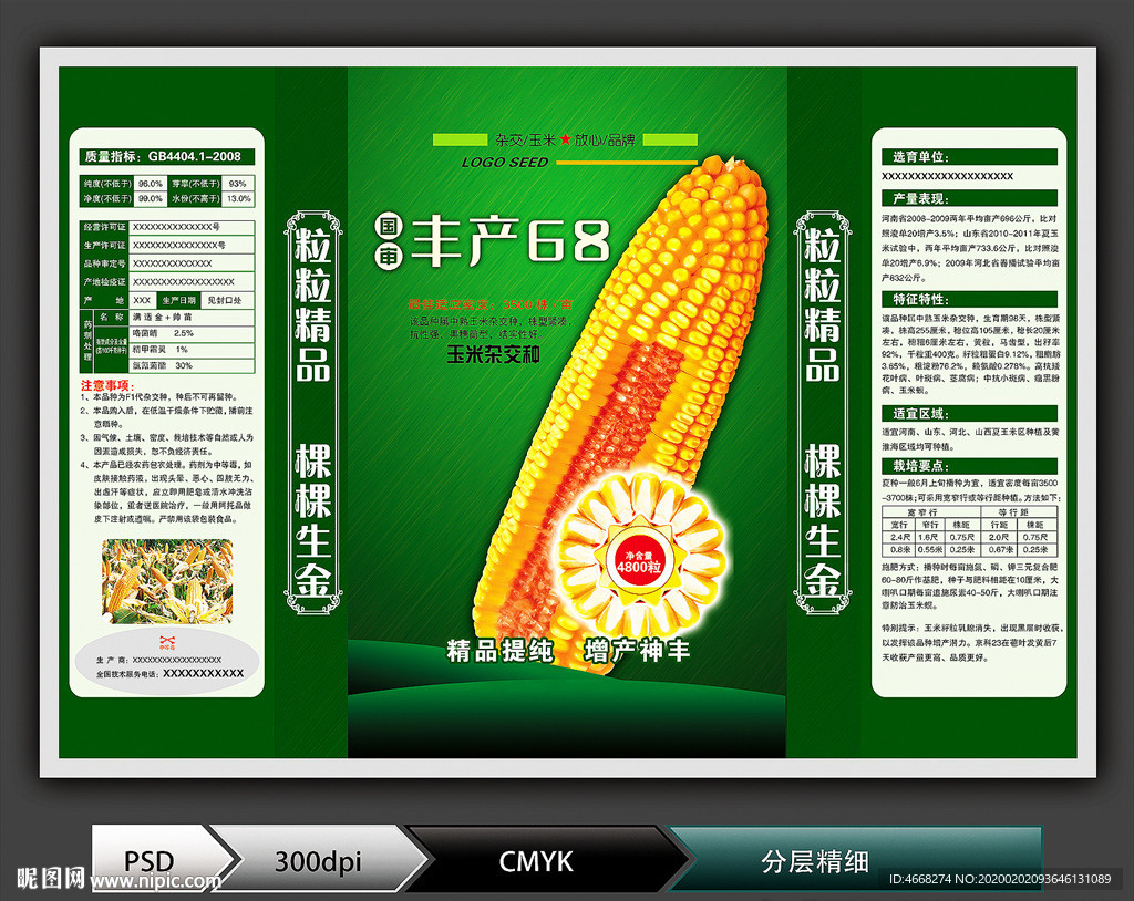 玉米种子(展开图)