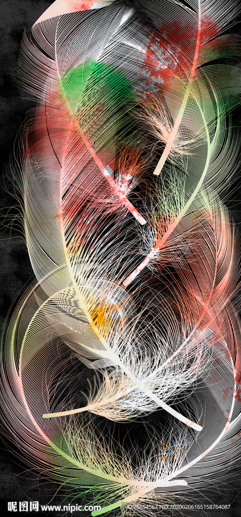 羽毛抽象艺术背景线条背景画