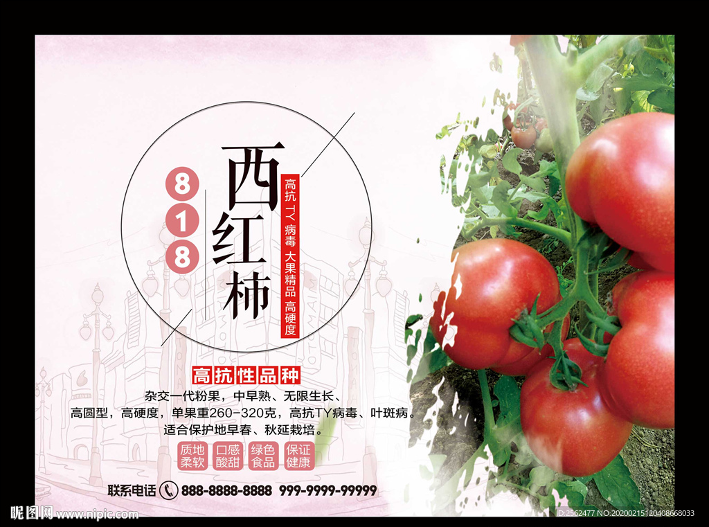 西红柿番茄海报新鲜水果挂画