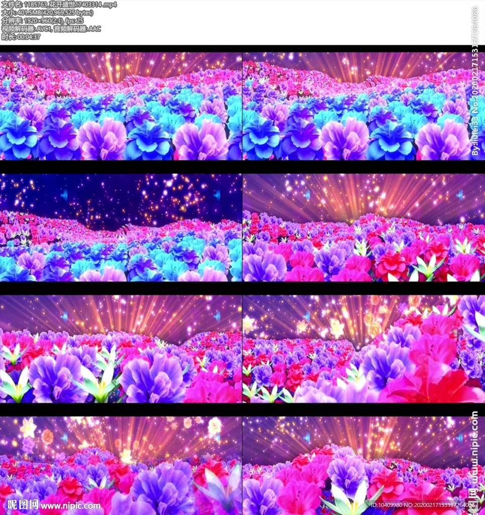 花開盛世 牡丹開場