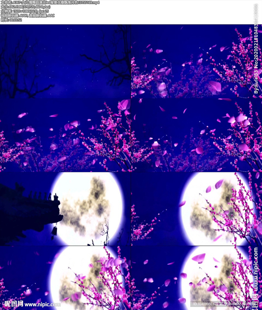 女兒情舞蹈演出led