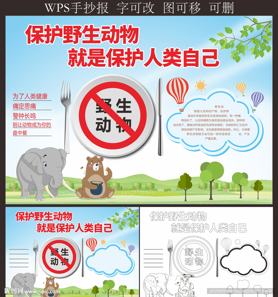 禁止食用野生動物手抄報