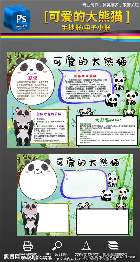 保护国宝大熊猫动物小报手抄报