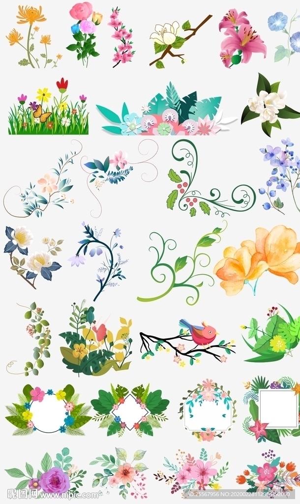 植物 花