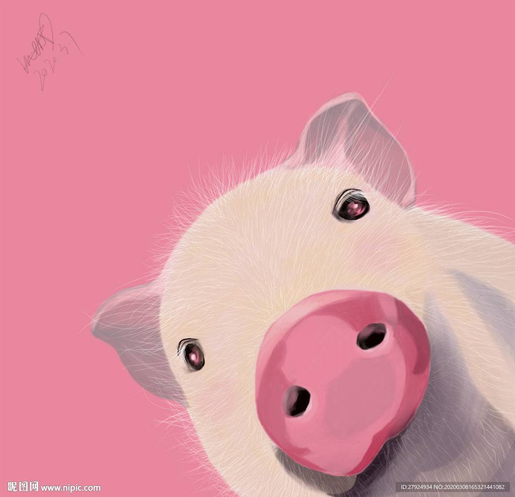 粉色豬豬插畫