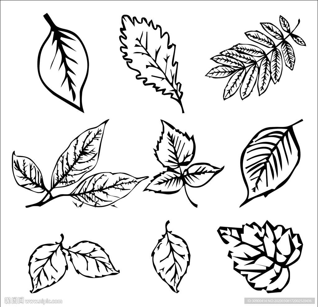 树叶矢量图手绘图案