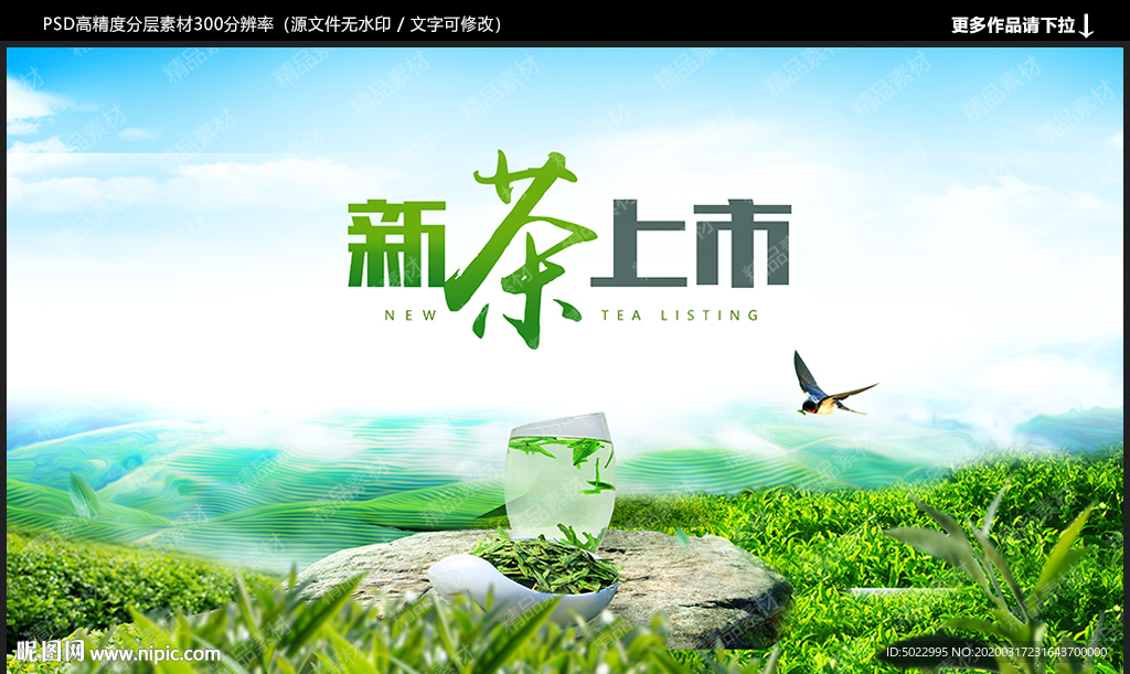 新茶上市