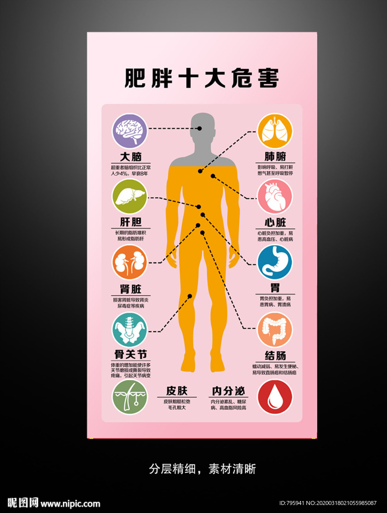 肥胖的十大危害图片
